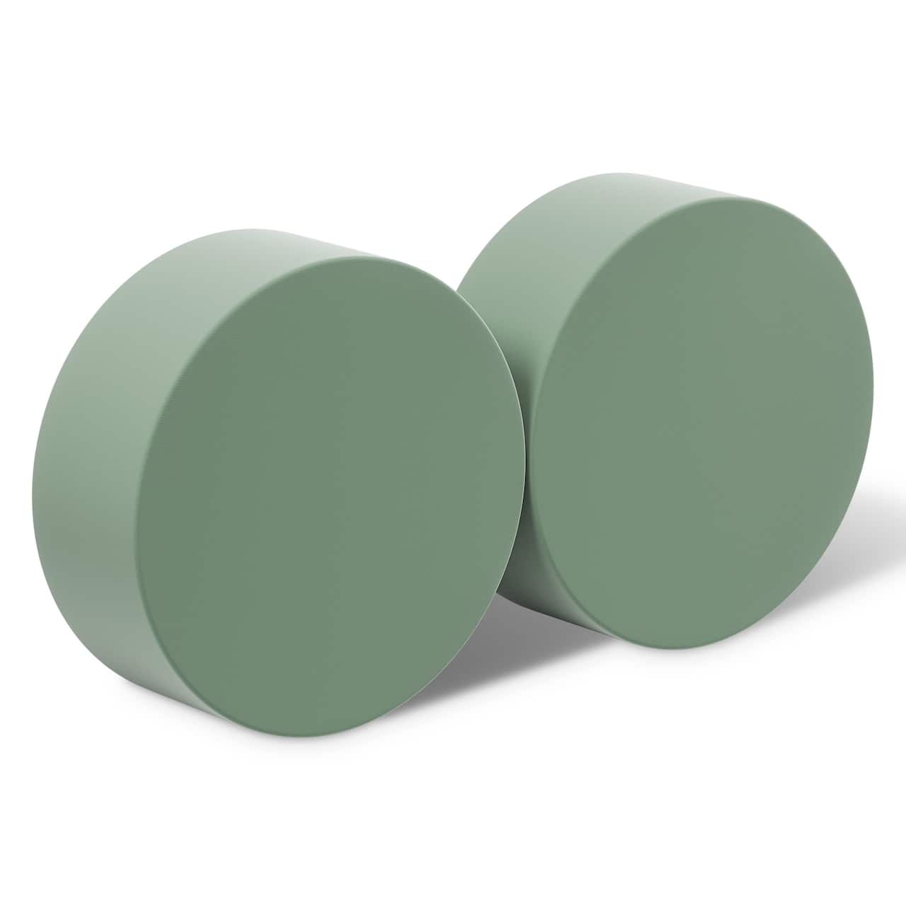 24 Packs: 2 ct. (48 total) FloraCraft® DryFōM® Green Disc